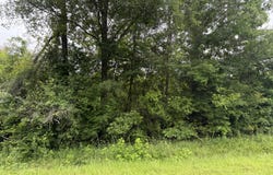 N River Road, Summit, MS 39666