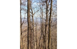 Bent Mountain Rd, Bent Mountain, VA 24059
