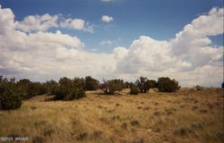 0 N6702, St. Johns, AZ 85936