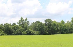 Tr 13 Private Road 1310, Centerville, TX 75833