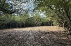 SW Dalton Lane, Smithdale, MS 39664