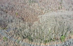 Tbd Crooked White Oak Trail, Hillsville, VA 24343