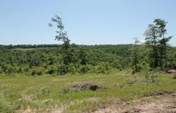 39250-9260  Hwy 27, Witts Springs, AR 72686