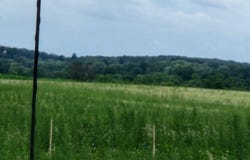 503 W NORTH ROAD, Cadott, WI 54727
