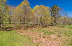 Lot 1 Roxmont Road, Rockport, ME 04856