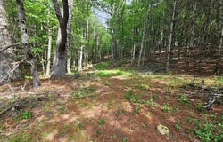 1248 Buck Trl, Woodlawn, VA 24381