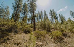 Lot 13, Boise, ID 83716