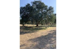 McCray, Lake Isabella, CA 93240