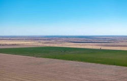 Browder Place, Amarillo, TX 79108