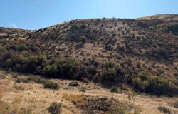 1632 Cuddy View, Council, ID 83612