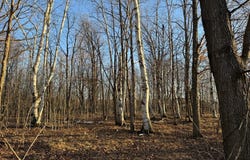 High Rd, Brussels, WI 54204