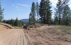 Lot 3 Moose Ridge Way, Loon Lake, WA 99148