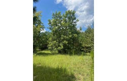 0 Thomson Highway, Warrenton, GA 30828