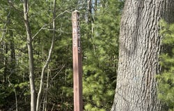 SANDS ST - Lot A, Pentwater, MI 49449