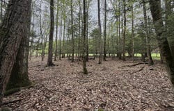 N Evergreen Drive, Greentown, PA 18426