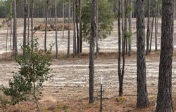 0/Lot 9 Cooks Bridge Road, Aiken, SC 29803