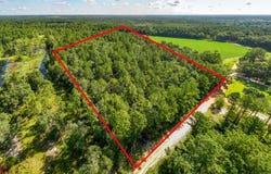12.05 Acress Roundtree, Quitman, GA 31643