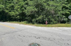 0 Izlar St, Blackville, SC 29817