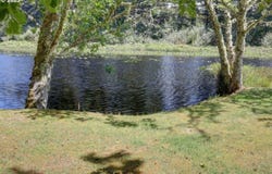 15712 Birch S, Long Beach, WA 98631
