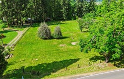 Deerhorn, Springfield, OR 97478