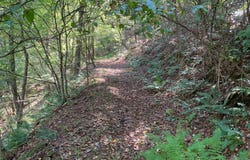 SHEEPSKIN HOLLOW RD, MCCONNELLSBURG, PA 17233
