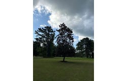 317 BIG CREEK RD, WAYNESBORO, MS 39367