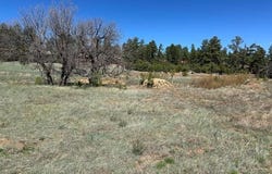 1301 Lakeside Trail, Show Low, AZ 85901