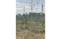 Co Rd 419, Calhoun City, MS 38916