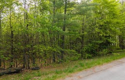 Lot 7 Grant Road, Orono, ME 04473