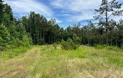 3520 Halls Rd, Grenada, MS 38901