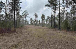 090 County Divide Road, Pineland, TX 75968