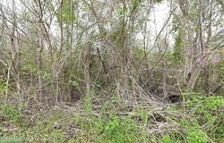 11th Ave, Alexander City, AL 35010