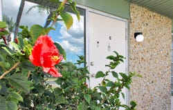 4333 TAHITIAN GARDENS CIRCLE, HOLIDAY, FL 34691