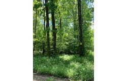 1215 Sandy Run Road lot: Angle, Confluence, PA 15424