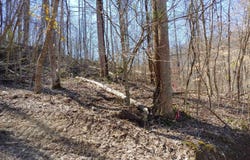 0 Birch Hollow Road, Stanton, KY 40380
