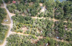 8532 S 1st Street, Baldwin, MI 49304