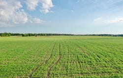 TBD Hwy 14, Allison, IA 50602