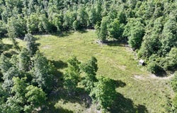 County Road Ff-459, Birch Tree, MO 65438