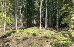 COMPASS Cove lot: 71, MINERAL, VA 23117