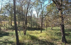 Lusk Road, Golconda, IL 62938