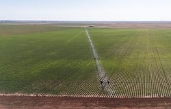 385 South us 385, Seagraves, TX 79359