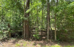 Lot on Cooper Dr, McCormick, SC 29835
