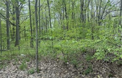 7785 Arrowhead Drive, Weidman, MI 48893