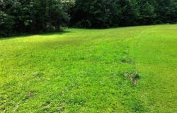 County Road 73, Myrtle, MS 38650