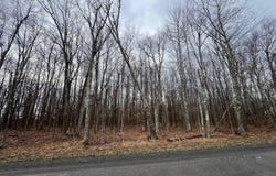 BETHLEHEM ROAD, OAKLAND, MD 21550