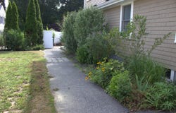 33 Oakwood Avenue, Falmouth, MA 02540