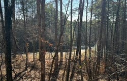 Mountain Mint Way, Salem, SC 29676