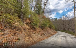 Cullowhee Forest Road lot: 55, Cullowhee, NC 28723
