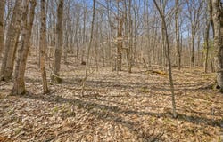 L9.114 Lutheranville Rd, Summit, NY 12064