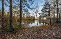 45 West Cove Court, Converse, LA 71419